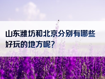 山东潍坊和北京分别有哪些好玩的地方呢？