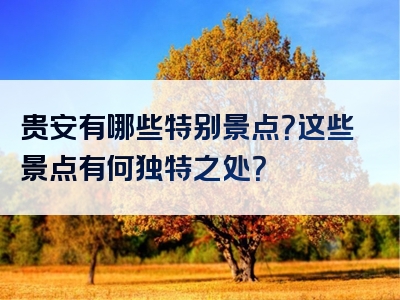 贵安有哪些特别景点？这些景点有何独特之处？
