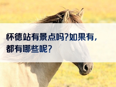 怀德站有景点吗？如果有，都有哪些呢？