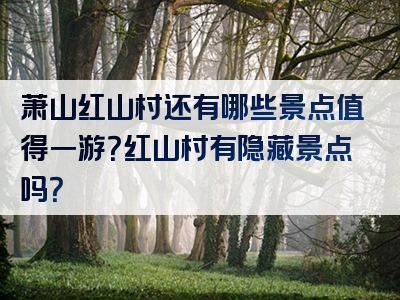 萧山红山村还有哪些景点值得一游？红山村有隐藏景点吗？