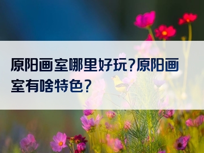 原阳画室哪里好玩？原阳画室有啥特色？