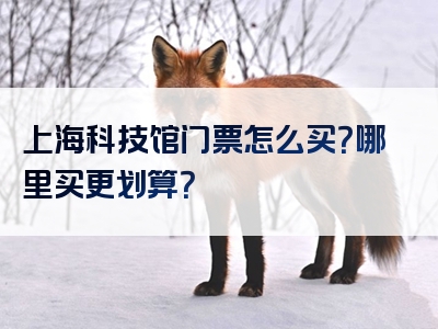 上海科技馆门票怎么买？哪里买更划算？