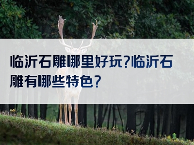 临沂石雕哪里好玩？临沂石雕有哪些特色？