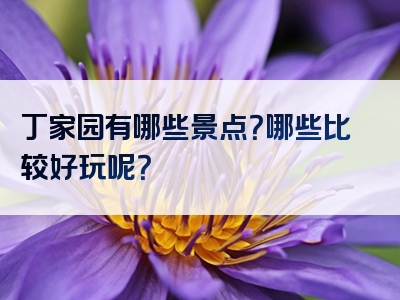 丁家园有哪些景点？哪些比较好玩呢？