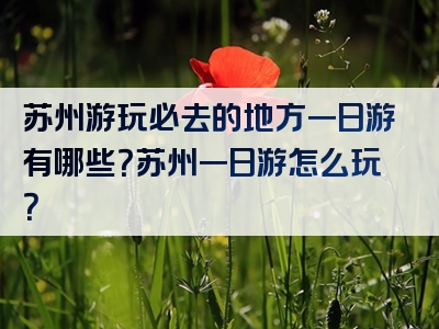 苏州游玩必去的地方一日游有哪些？苏州一日游怎么玩？