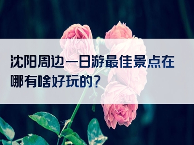 沈阳周边一日游最佳景点在哪有啥好玩的？