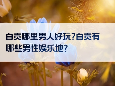自贡哪里男人好玩？自贡有哪些男性娱乐地？