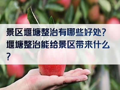景区堰塘整治有哪些好处？堰塘整治能给景区带来什么？