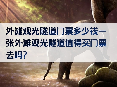 外滩观光隧道门票多少钱一张外滩观光隧道值得买门票去吗？