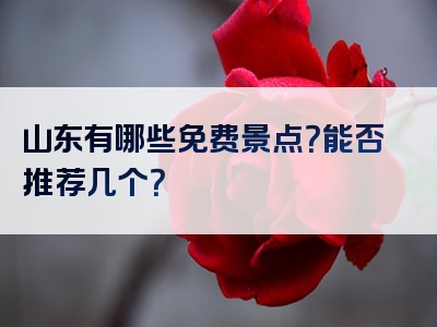 山东有哪些免费景点？能否推荐几个？