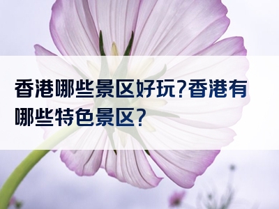 香港哪些景区好玩？香港有哪些特色景区？