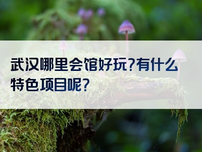 武汉哪里会馆好玩？有什么特色项目呢？