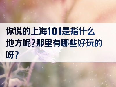 你说的上海101是指什么地方呢？那里有哪些好玩的呀？