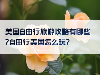 美国自由行旅游攻略有哪些？自由行美国怎么玩？