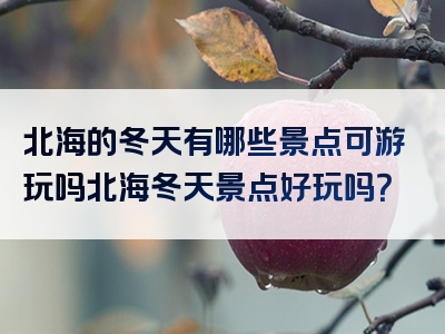 北海的冬天有哪些景点可游玩吗北海冬天景点好玩吗？