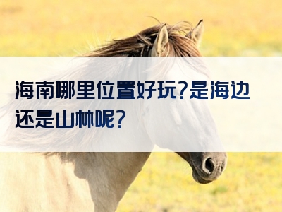 海南哪里位置好玩？是海边还是山林呢？