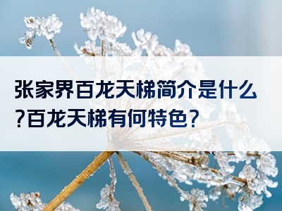 张家界百龙天梯简介是什么？百龙天梯有何特色？