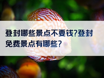 登封哪些景点不要钱？登封免费景点有哪些？