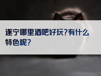 遂宁哪里酒吧好玩？有什么特色呢？