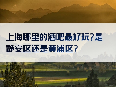 上海哪里的酒吧最好玩？是静安区还是黄浦区？