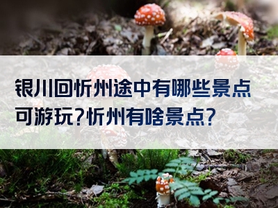 银川回忻州途中有哪些景点可游玩？忻州有啥景点？