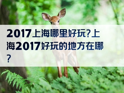 2017上海哪里好玩？上海2017好玩的地方在哪？