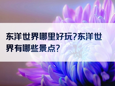 东洋世界哪里好玩？东洋世界有哪些景点？