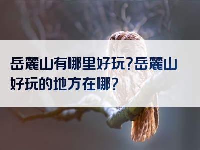 岳麓山有哪里好玩？岳麓山好玩的地方在哪？