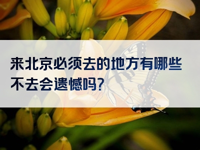 来北京必须去的地方有哪些不去会遗憾吗？
