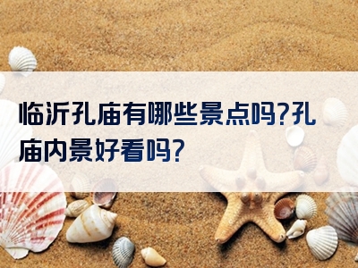 临沂孔庙有哪些景点吗？孔庙内景好看吗？