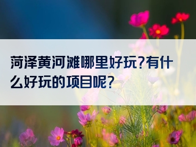 菏泽黄河滩哪里好玩？有什么好玩的项目呢？