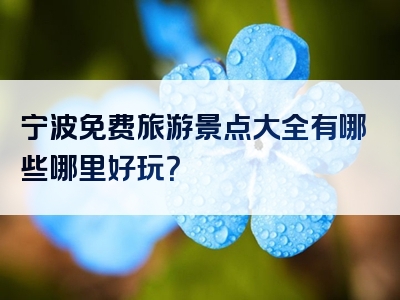 宁波免费旅游景点大全有哪些哪里好玩？