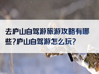 去庐山自驾游旅游攻略有哪些？庐山自驾游怎么玩？