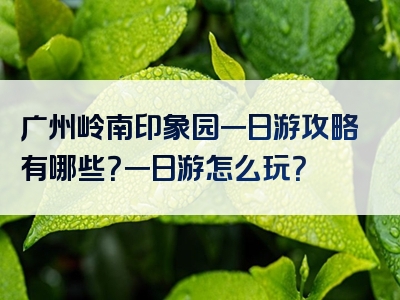 广州岭南印象园一日游攻略有哪些？一日游怎么玩？