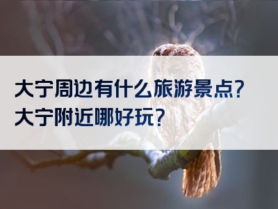 大宁周边有什么旅游景点？大宁附近哪好玩？