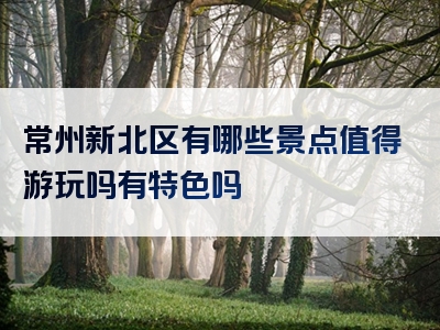 常州新北区有哪些景点值得游玩吗有特色吗