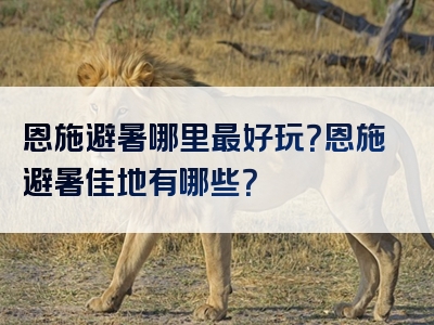 恩施避暑哪里最好玩？恩施避暑佳地有哪些？