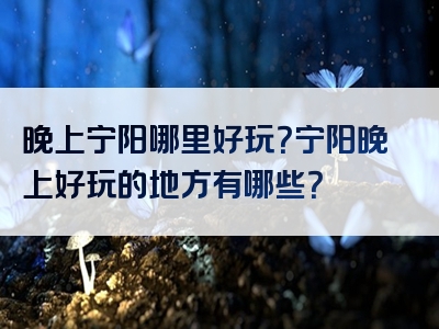 晚上宁阳哪里好玩？宁阳晚上好玩的地方有哪些？