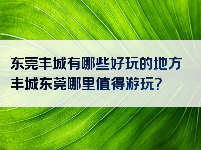 东莞丰城有哪些好玩的地方丰城东莞哪里值得游玩？