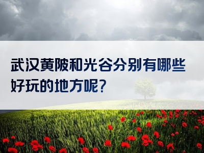 武汉黄陂和光谷分别有哪些好玩的地方呢？