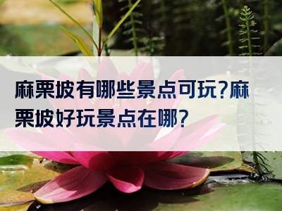 麻栗坡有哪些景点可玩？麻栗坡好玩景点在哪？
