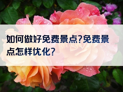 如何做好免费景点？免费景点怎样优化？