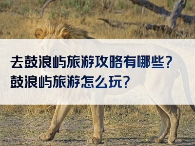 去鼓浪屿旅游攻略有哪些？鼓浪屿旅游怎么玩？