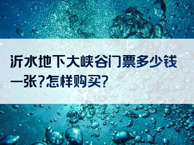 沂水地下大峡谷门票多少钱一张？怎样购买？