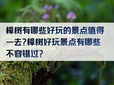 樟树有哪些好玩的景点值得一去？樟树好玩景点有哪些不容错过？