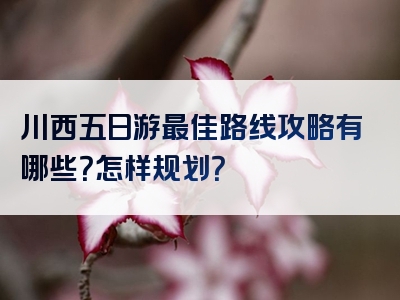 川西五日游最佳路线攻略有哪些？怎样规划？
