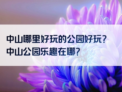 中山哪里好玩的公园好玩？中山公园乐趣在哪？