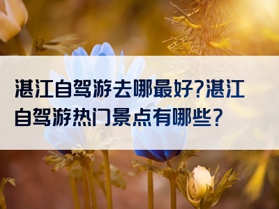 湛江自驾游去哪最好？湛江自驾游热门景点有哪些？