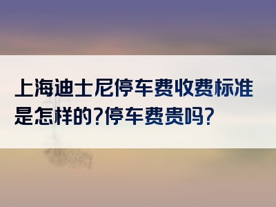 上海迪士尼停车费收费标准是怎样的？停车费贵吗？