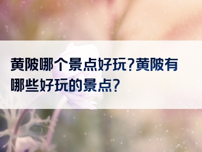 黄陂哪个景点好玩？黄陂有哪些好玩的景点？